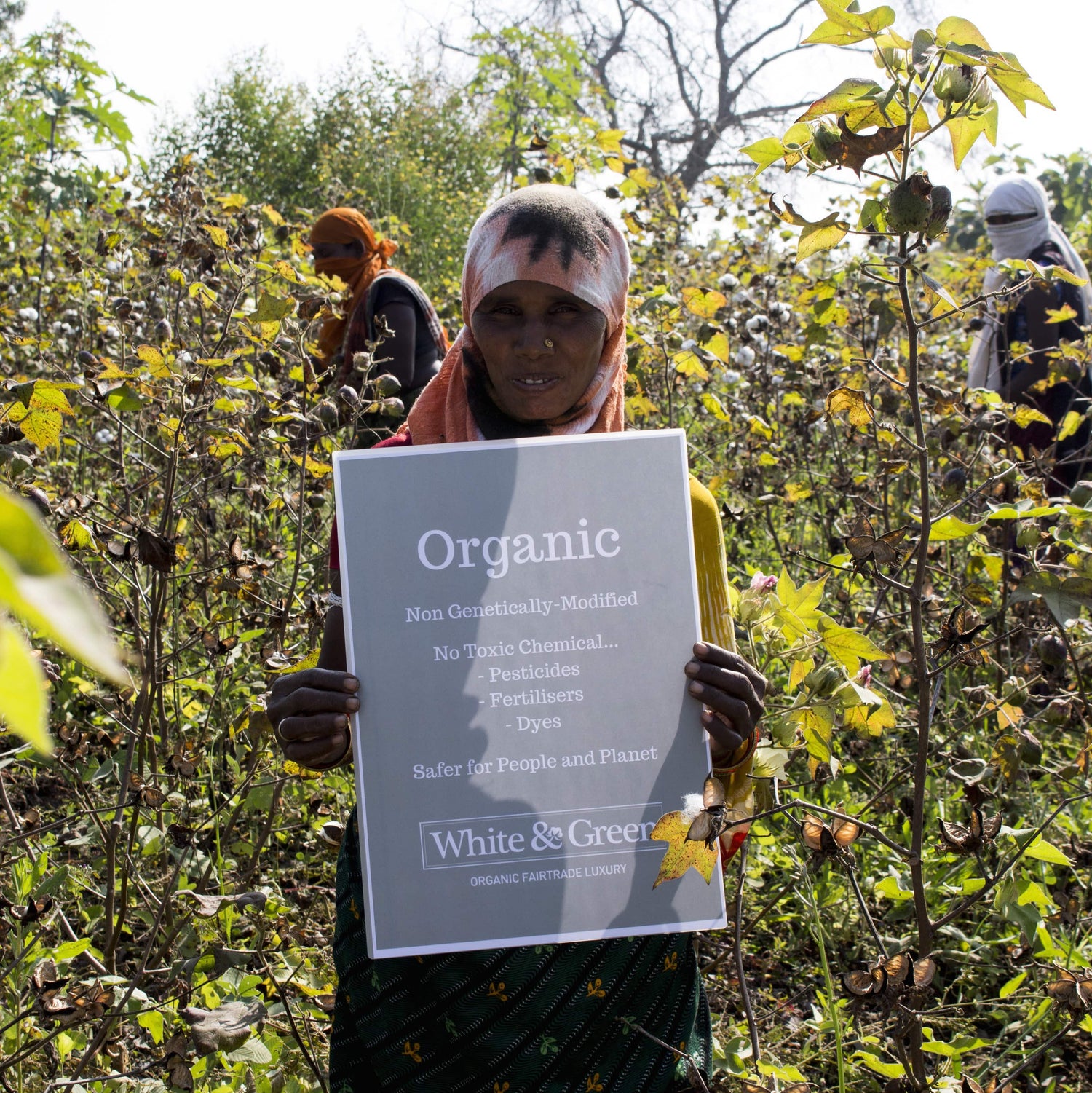 What is Organic Cotton?